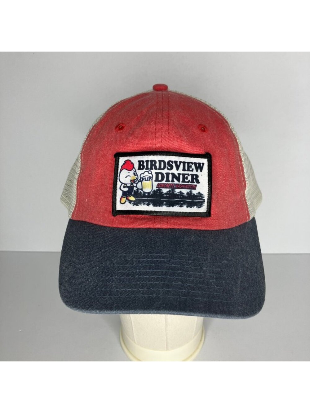 Birdsview Diner Concrete Washington Hat Men's Adjustable Snapback Red Blue Cream